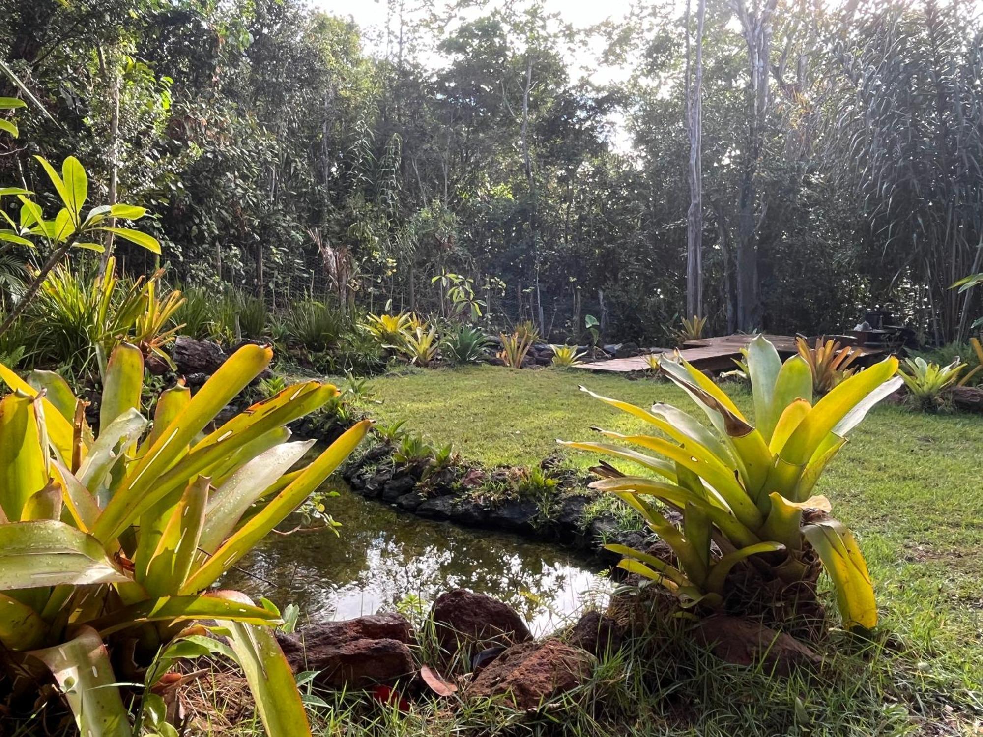 Hotel Quinta Do Sossego Mata de São João Exterior foto
